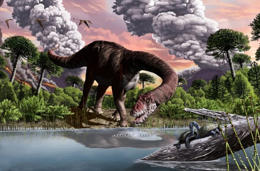  La poussière d’astéroïde a provoqué un hiver de 15 ans qui a tué des dinosaures (étude)