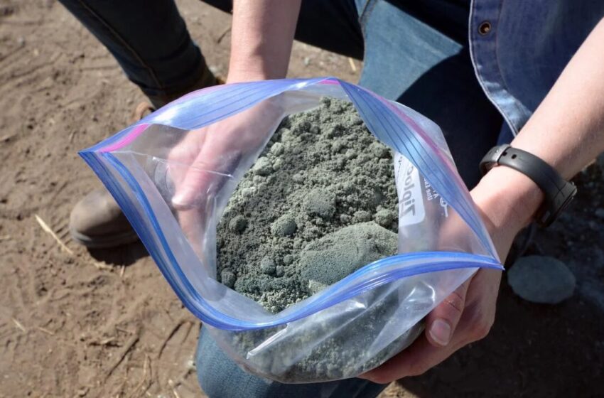  L’ajout de roche concassée aux terres agricoles extrait le carbone de l’air, selon des tests sur le terrain