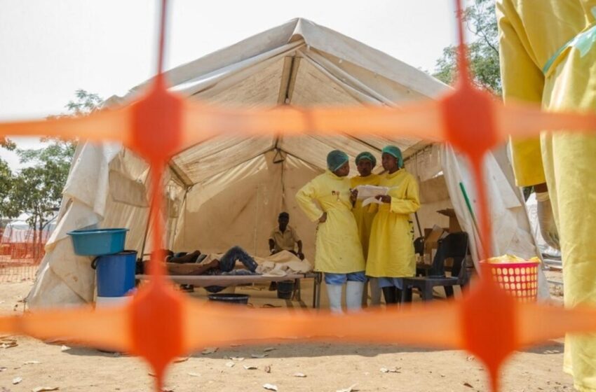  Le Zimbabwe impose des restrictions pour freiner la recrudescence des cas de choléra