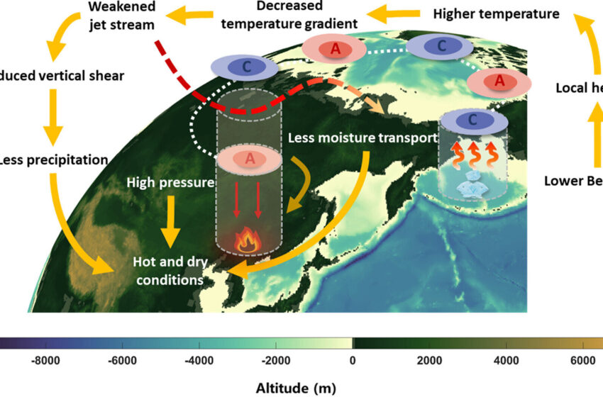  Le déclin de la glace de la mer de Béring est lié au risque croissant d’incendies de forêt dans le nord-est de la Chine