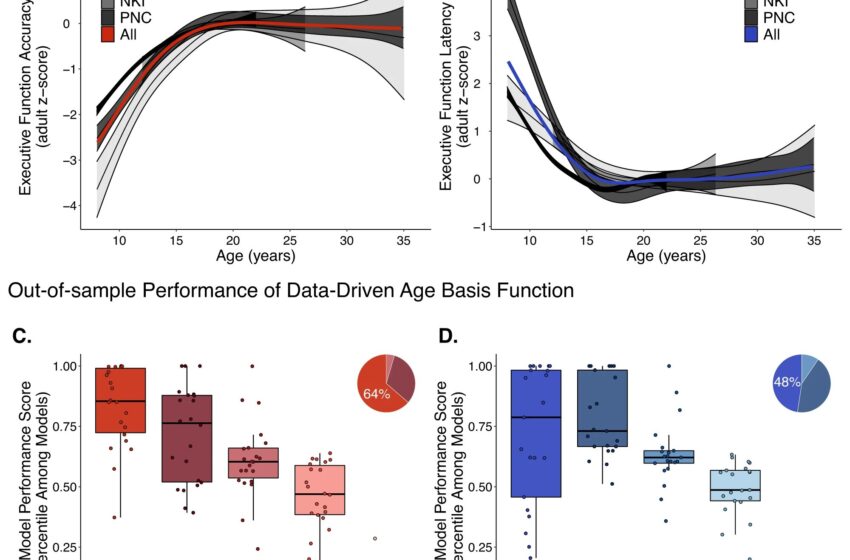  Les chercheurs cartographient les trajectoires convergentes du développement cognitif jusqu’à l’adolescence