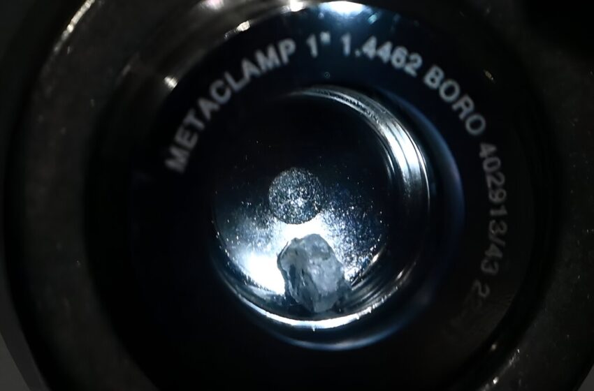  Dans la capitale américaine, des selfies avec un astéroïde font allusion aux origines de la Terre
