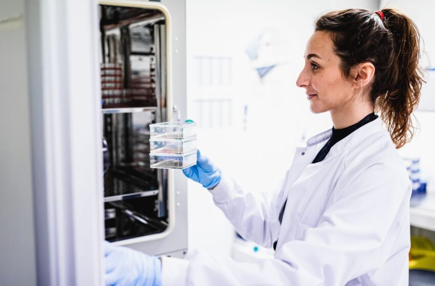  Des chercheurs en cancérologie en France optimistes quant aux tests d’anticorps