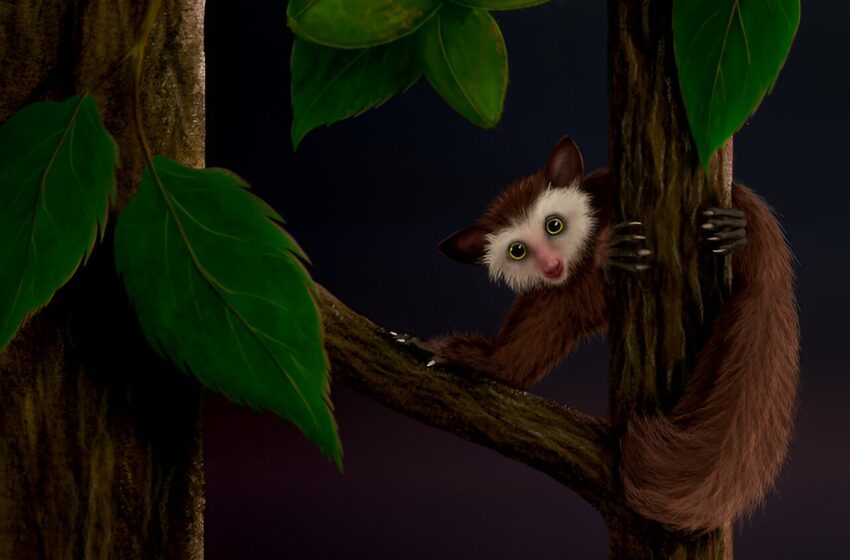  Des fossiles racontent l’histoire du dernier primate à avoir habité l’Amérique du Nord avant les humains