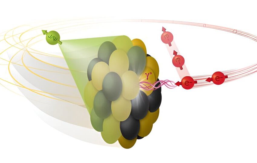  Des travaux théoriques indiquent que le futur collisionneur électron-ion pourra être utilisé pour mesurer la forme des noyaux atomiques.