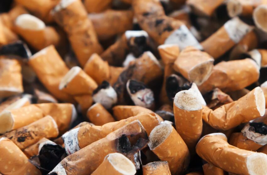  La pollution plastique provenant des mégots de cigarettes coûterait probablement 26 milliards de dollars par an