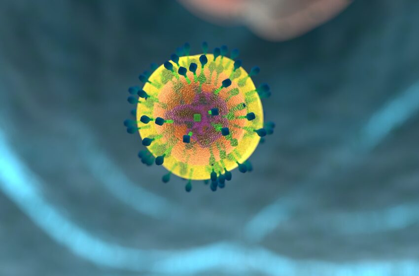  La recherche découvre que le régulateur principal du génome sombre améliore considérablement la thérapie par cellules T du cancer