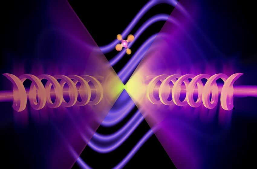  La recherche progresse vers l’observation du reflux quantique en deux dimensions