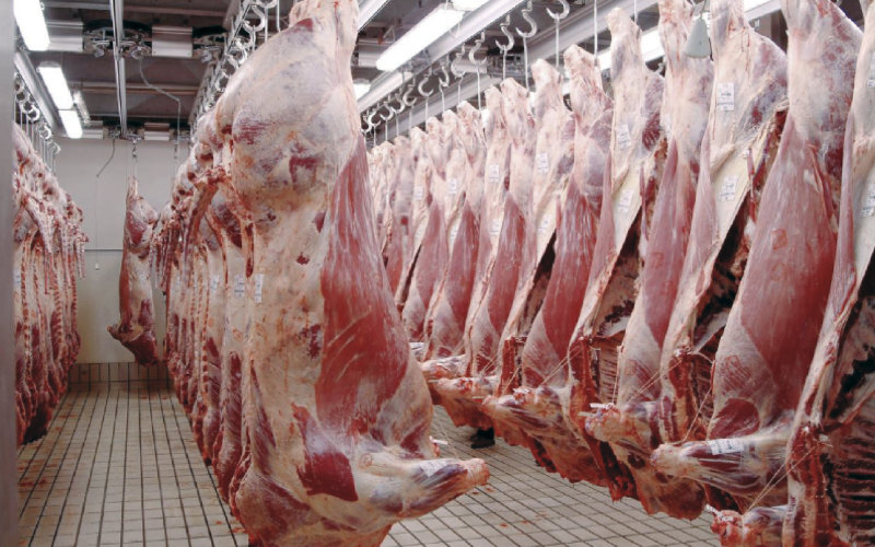  La viande consommée par les Marocains est-elle dangereuse pour la santé ?  un ministre répond