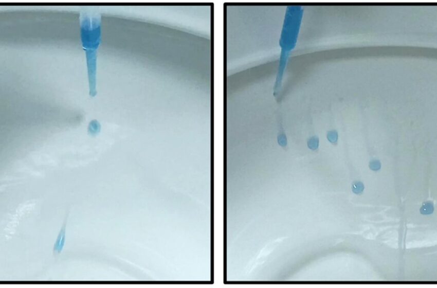 Le traitement des cuvettes de toilettes glissantes fait glisser les bactéries