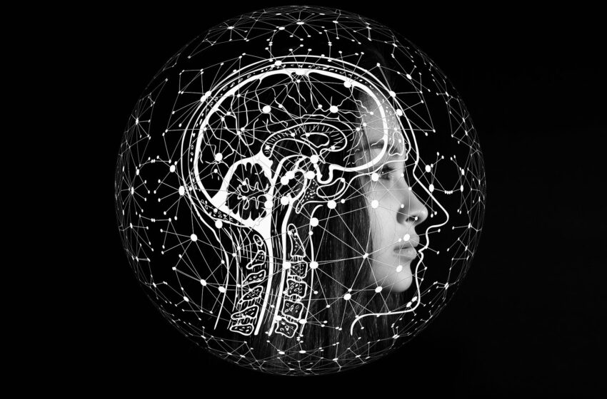  Notre cerveau n’est pas capable de se « recâbler », contrairement à ce que pensent la plupart des scientifiques, selon une nouvelle étude