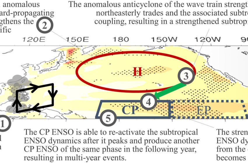  Selon une étude, la déforestation sur le « continent maritime » rend l’oscillation australe El Niño plus imprévisible
