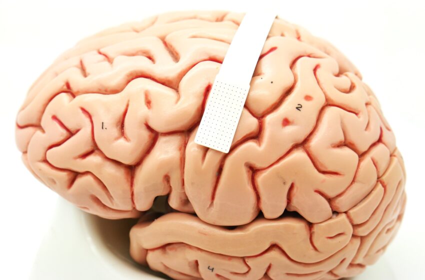  Un implant cérébral pourrait permettre la communication à partir des seules pensées
