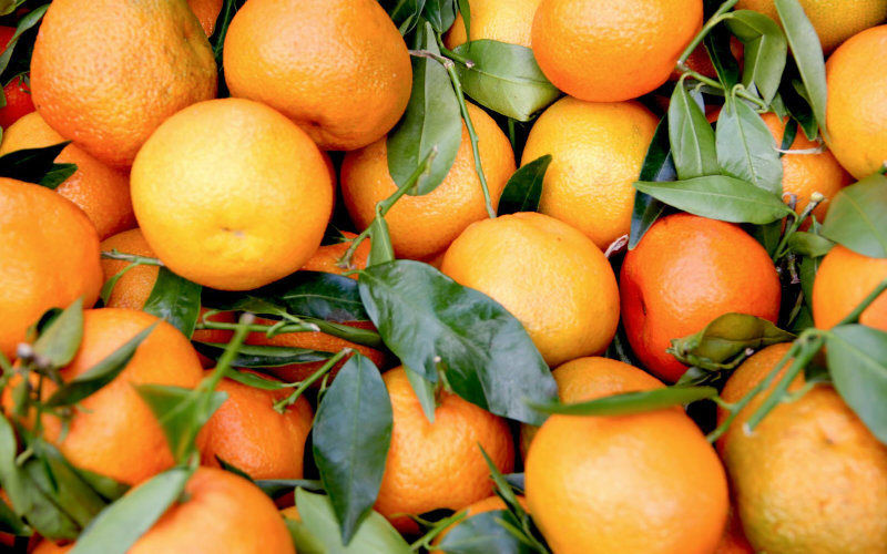  Une baisse record des exportations d’oranges