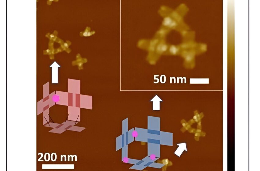  Des chercheurs créent des nanorobots à ADN 3D