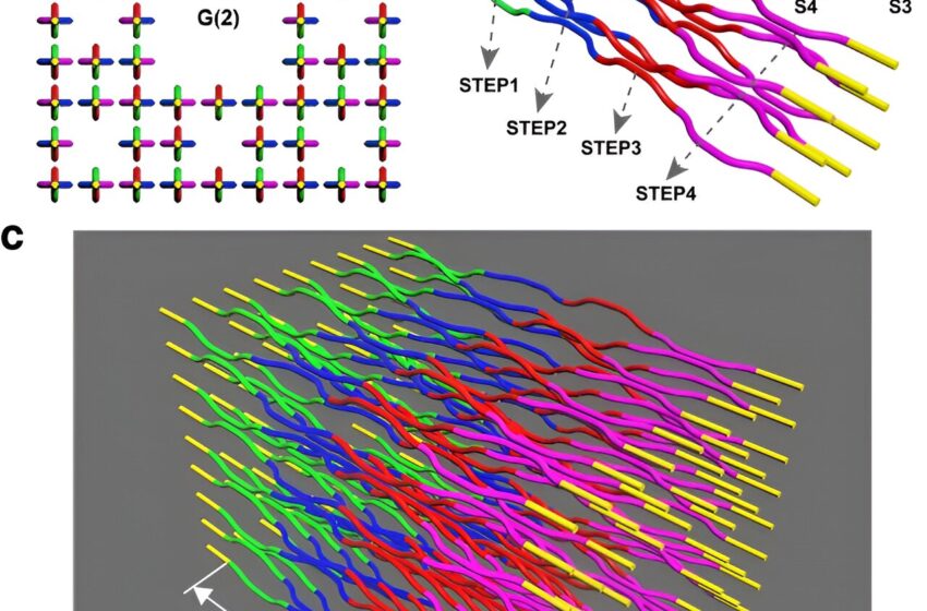  Isolateurs topologiques Floquet anormaux photoniques fractaux pour générer plusieurs états de bord chiraux quantiques