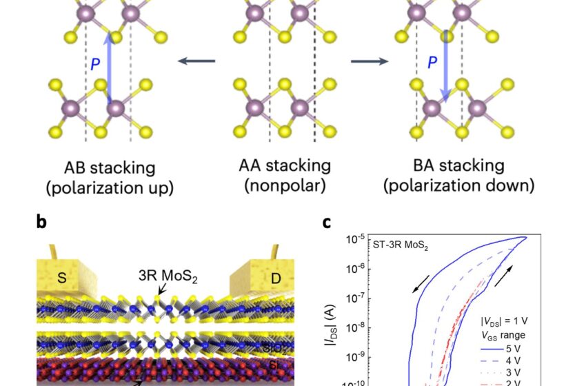  L'équipe développe des transistors à ferroélectricité glissante basés sur du bisulfure de molybdène à polarité commutable