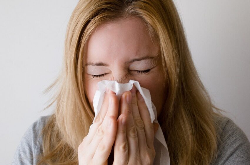  La « longue grippe » est apparue comme une conséquence similaire à celle du long COVID