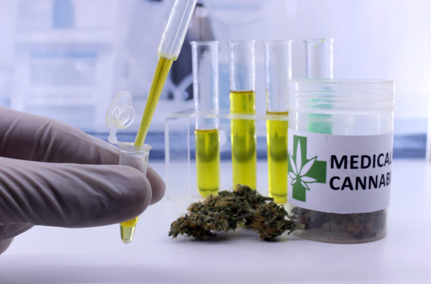  Le cannabis médical obtient le feu vert pour soulager la douleur dans les hôpitaux français