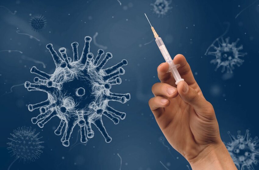  Le nouveau vaccin COVID induit une bonne réponse en anticorps contre les variantes virales mutées, selon une étude