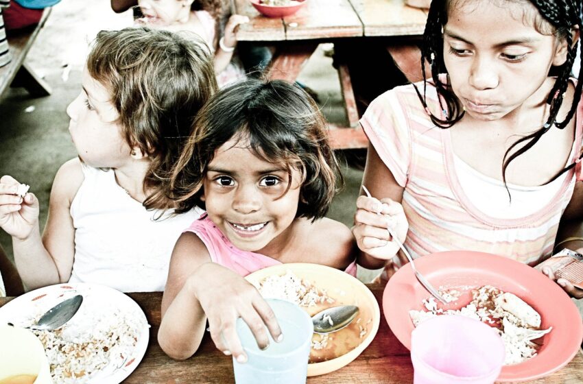  Les bactéries intestinales des enfants malnutris bénéficient des éléments clés des aliments thérapeutiques, selon une étude