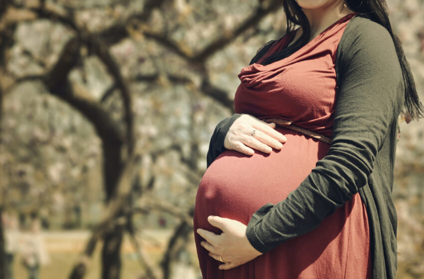  Les femmes enceintes manquent de nutriments essentiels, une situation qui pourrait s'aggraver avec les aliments d'origine végétale.