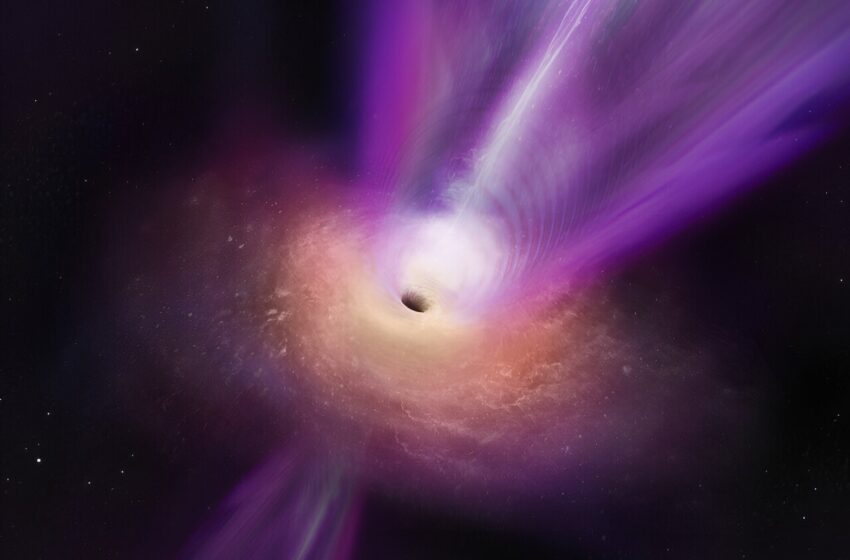  Les trous noirs sont absents du premier univers et les ordinateurs les recherchent
