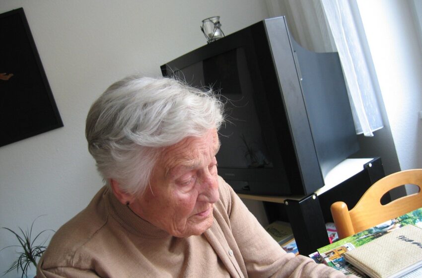  Prédire la démence d'Alzheimer chez les plus âgés