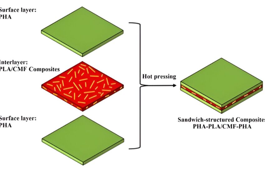  Un nouveau composite à structure sandwich à base de biopolymères pour les applications d'enveloppe de bâtiment