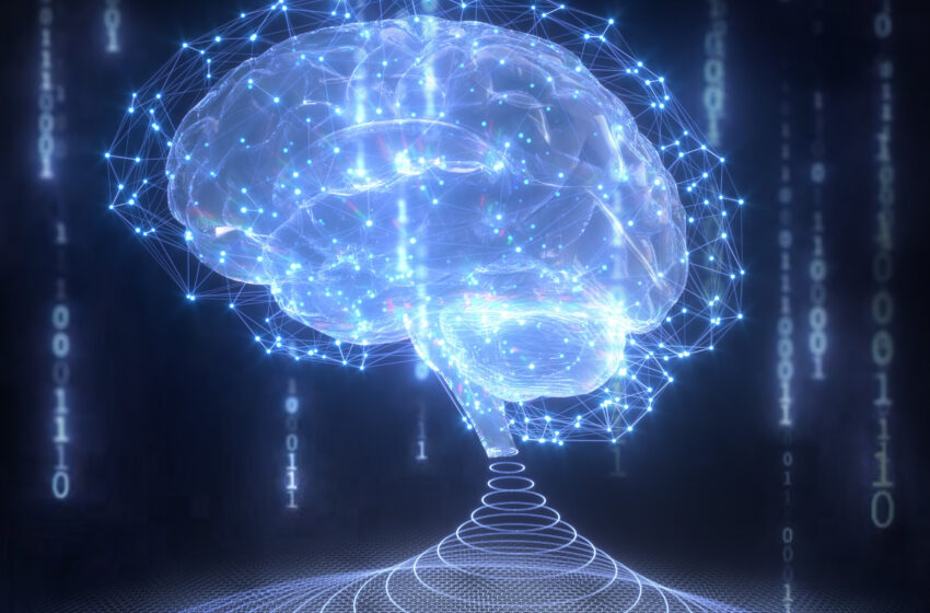 Un nouveau transistor de type cerveau effectue un apprentissage associatif économe en énergie à température ambiante