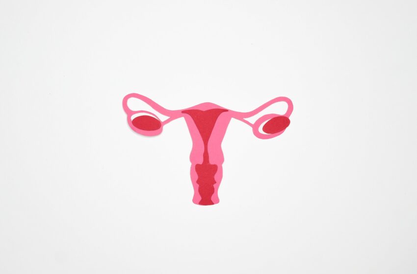  Une nouvelle étude remet en question l'efficacité des médicaments pour la protection ovarienne pendant le traitement du cancer