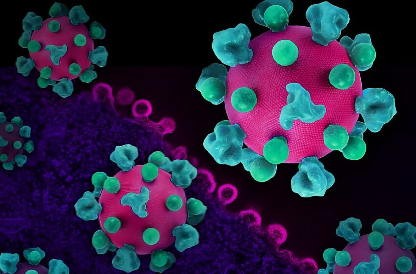  Une nouvelle recherche identifie des opportunités pour améliorer les futurs candidats vaccins contre le VIH