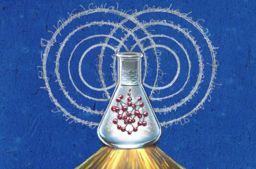  Une nouvelle stratégie révèle la « complexité chimique totale » de la décohérence quantique