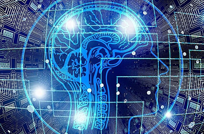  De nouvelles connaissances sur la manière dont le cerveau ajuste les connexions synaptiques pendant l’apprentissage pourraient inspirer une IA plus robuste