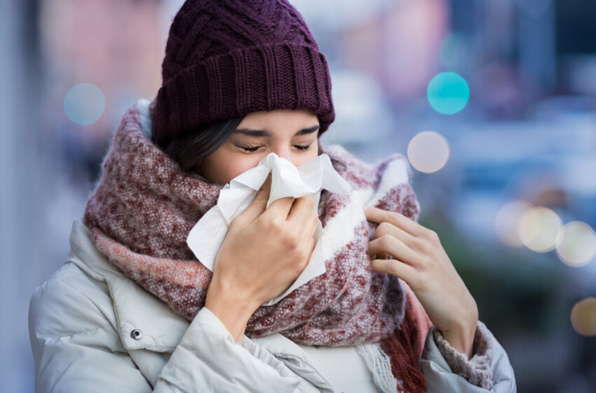  Deux autres régions françaises désormais au niveau épidémique de grippe