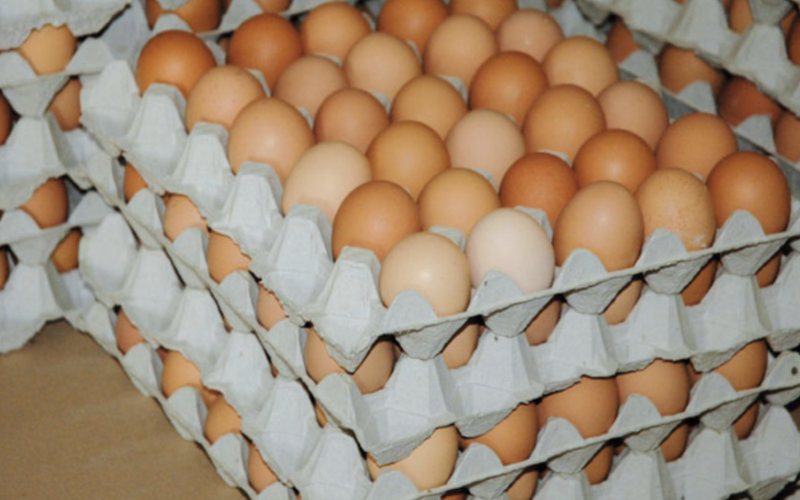  Les Marocains face à une hausse incompréhensible du prix des œufs