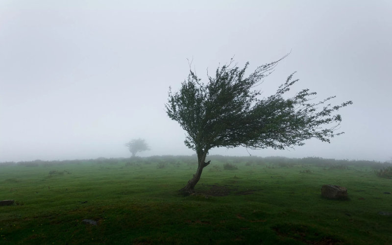  Maroc : nouvelle alerte météo Fortes rafales de vent (70-95 km/h) avec souffleurs de poussière locaux…