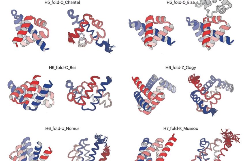  Percée dans la conception de structures protéiques complexes entièrement α