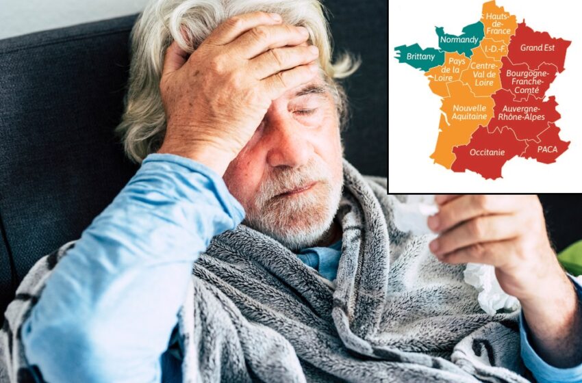  Régions de France où la grippe a atteint des niveaux épidémiques