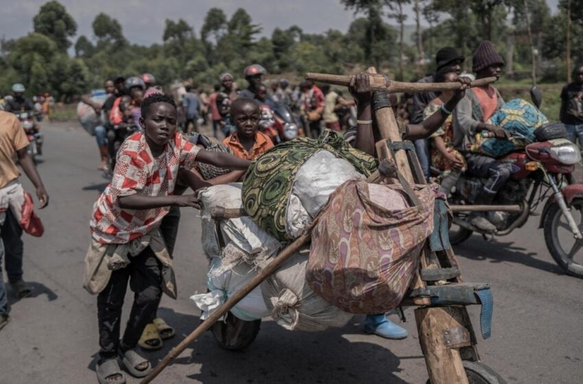  Les combats s'intensifient dans l'est de la RDC alors que des preuves du soutien du Rwanda aux rebelles apparaissent