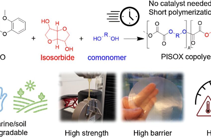  Applications passionnantes pour les polymères PISOX marins dégradables, à base de bio et de CO2