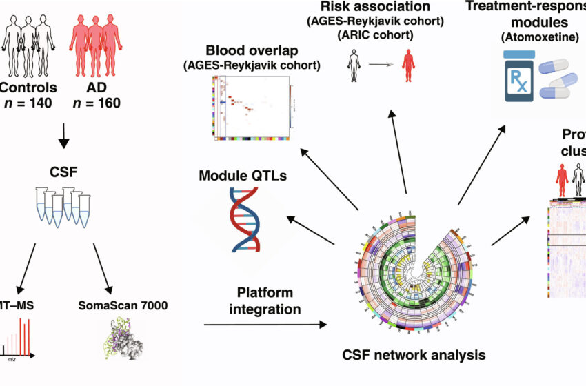  Cartes protéiques créées à l’aide d’une technologie de numérisation sur le liquide céphalo-rachidien pour trouver des marqueurs de la maladie d’Alzheimer