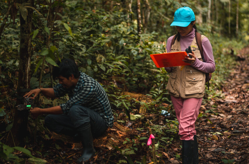 Découvrir les connaissances sur la biodiversité des Andes tropicales