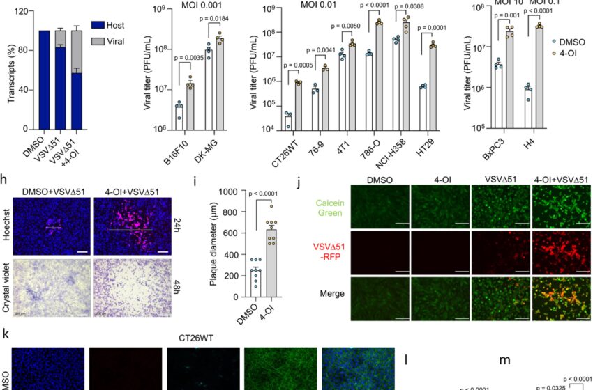  Des recherches révolutionnaires rendent l’agent viral anticancéreux plus efficace