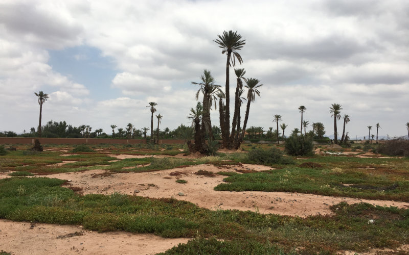  Le Maroc attaque les fraudeurs fiscaux sur des terrains non bâtis