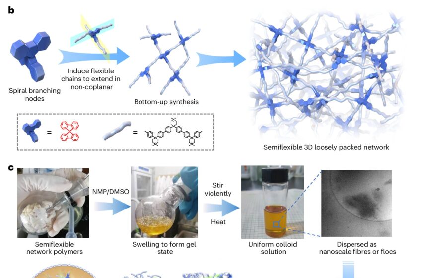  Les chercheurs développent des membranes échangeuses d’anions haute performance pour des applications durables