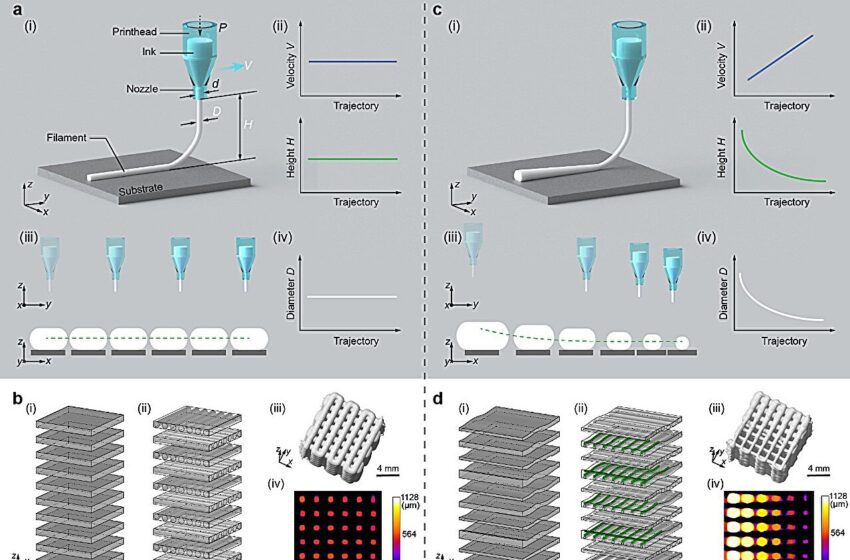  Les chercheurs développent une nouvelle stratégie d’impression 3D avec des structures poreuses à gradients contrôlables