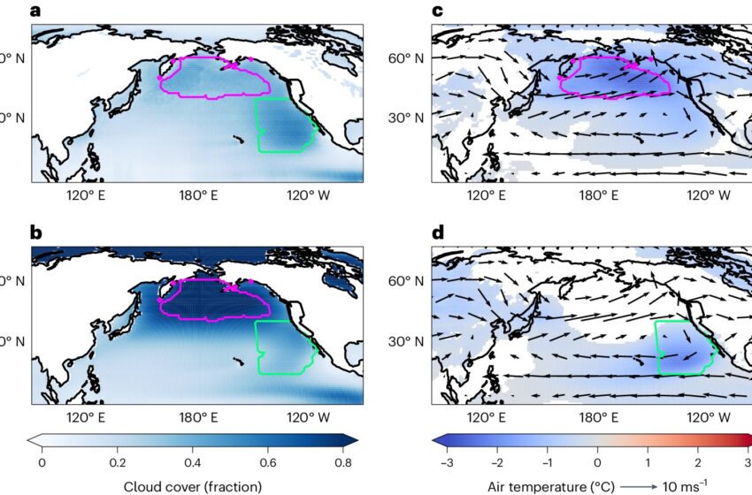  Les modèles d’éclaircissement des nuages ​​marins montrent les conséquences inattendues de la géo-ingénierie