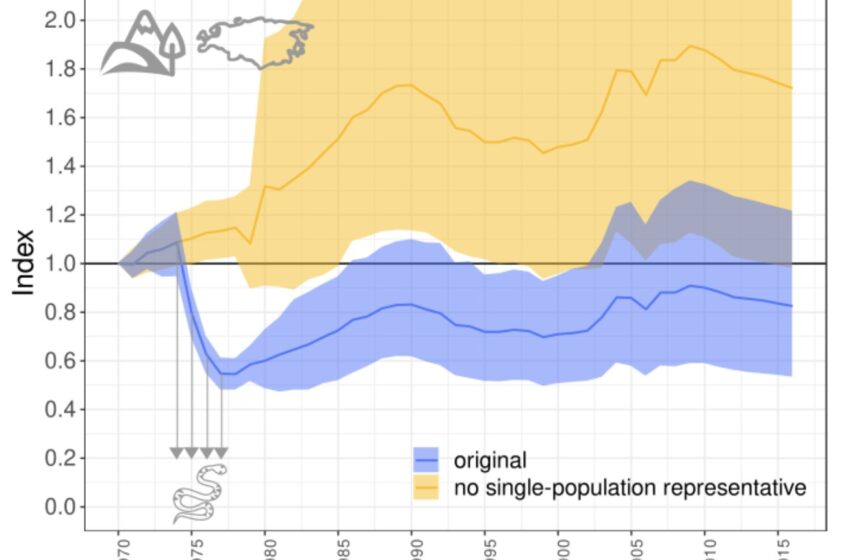  Les populations de vertébrés diminuent-elles vraiment à ce point ?  Les calculs indiquant de graves déclins pourraient être erronés, selon une étude