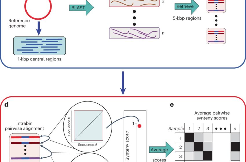  Un nouvel outil cartographie la diversité microbienne avec des détails sans précédent